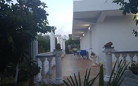 Amantia Apartments